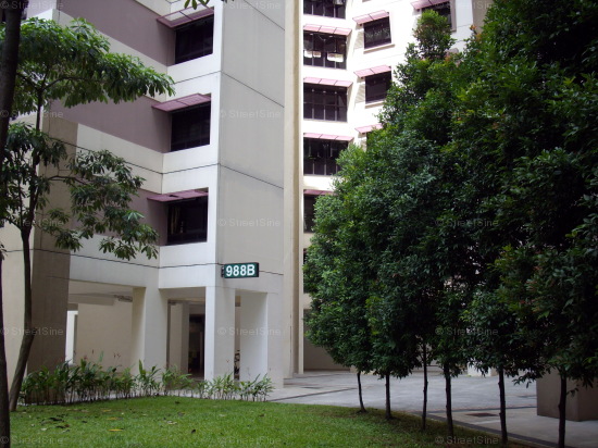 Blk 988B Jurong West Street 93 (Jurong West), HDB 5 Rooms #421722